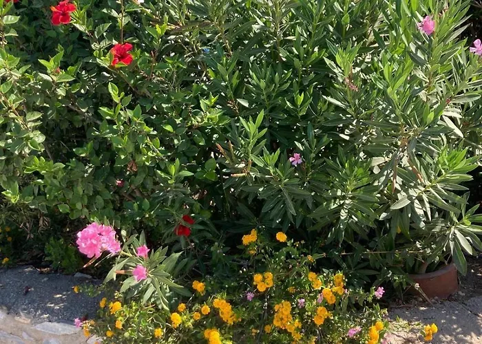 Mit Atemberaubendem Meerblick, Privatem Pool Und Whirlpool Hébergement de vacances *