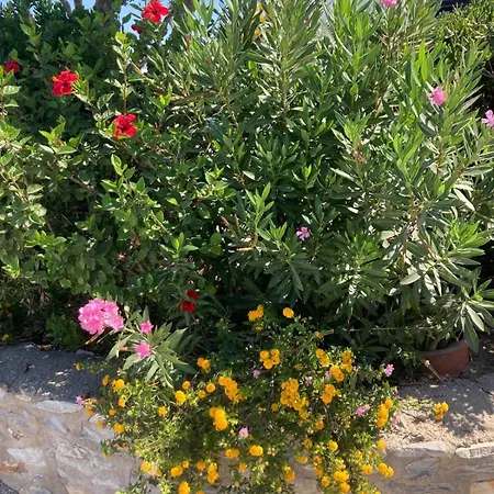 Meerblick, Privater Pool & Whirlpool Tatil Evi *